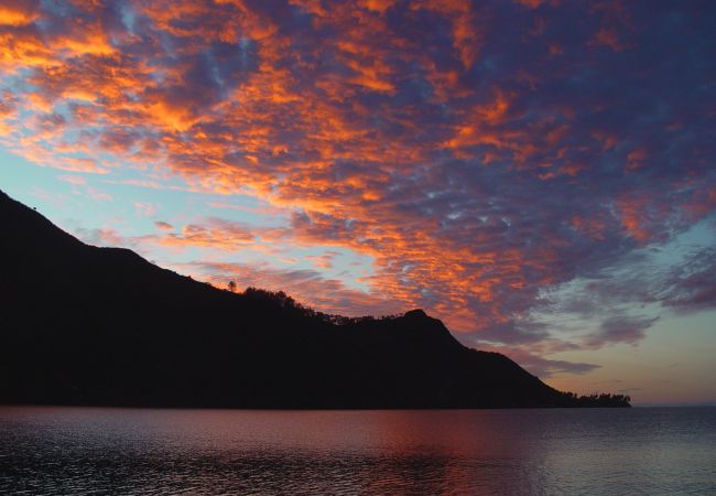 Villa à Papetoai - Beach Villa Cook - Robinson's Cove Villa à Papetoai - Beach Villa Cook - Robinson's Cove
