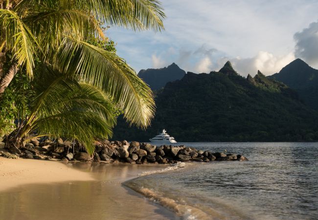 Villa à Papetoai - Beach Villa Cook - Robinson's Cove Villa à Papetoai - Beach Villa Cook - Robinson's Cove