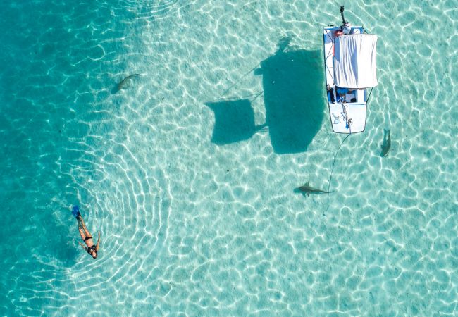 Villa à Papetoai - Beach Villa Cook - Robinson's Cove Villa à Papetoai - Beach Villa Cook - Robinson's Cove