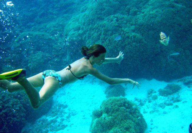 Villa à Papetoai - Beach Villa Cook - Robinson's Cove Villa à Papetoai - Beach Villa Cook - Robinson's Cove