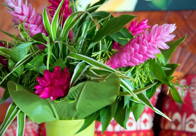 Villa à Papetoai - Beach Villa Cook - Robinson's Cove Villa à Papetoai - Beach Villa Cook - Robinson's Cove