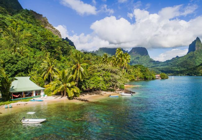 Villa à Papetoai - Beach Villa Cook - Robinson's Cove Villa à Papetoai - Beach Villa Cook - Robinson's Cove