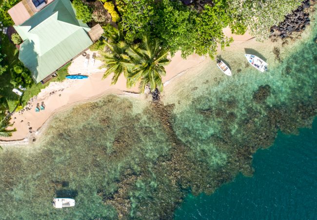 Villa in Papetoai - Beach Villa Cook - Robinson's Cove Villa in Papetoai - Beach Villa Cook - Robinson's Cove