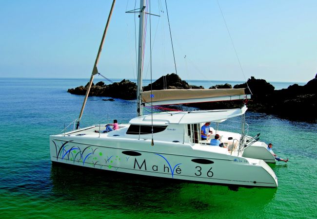 Boat in Vaitape - Catamaran 3-night Cruise in BORA BORA Boat in Vaitape - Catamaran 3-night Cruise in BORA BORA