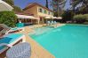 Villa in Roquefort-les-Pins - Lily of the Valley Villa near St Paul de Vence Villa in Roquefort-les-Pins - Lily of the Valley Villa near St Paul de Vence