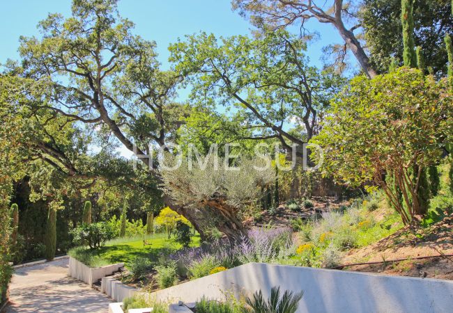 Villa in Cannes - Prestigious villa  - 600m from the Croisette Villa in Cannes - Prestigious villa  - 600m from the Croisette