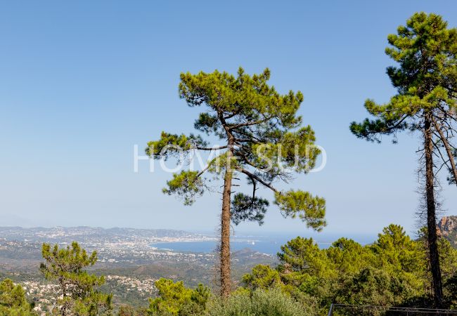 Villa in Saint-Jean-de-l'Esterel - Splendid sea view villa nestled in the heart of a secure domain in full greenery Villa in Saint-Jean-de-l'Esterel - Splendid sea view villa nestled in the heart of a secure domain in full greenery