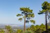 Villa in Saint-Jean-de-l'Esterel - Splendid sea view villa nestled in the heart of a secure domain in full greenery Villa in Saint-Jean-de-l'Esterel - Splendid sea view villa nestled in the heart of a secure domain in full greenery