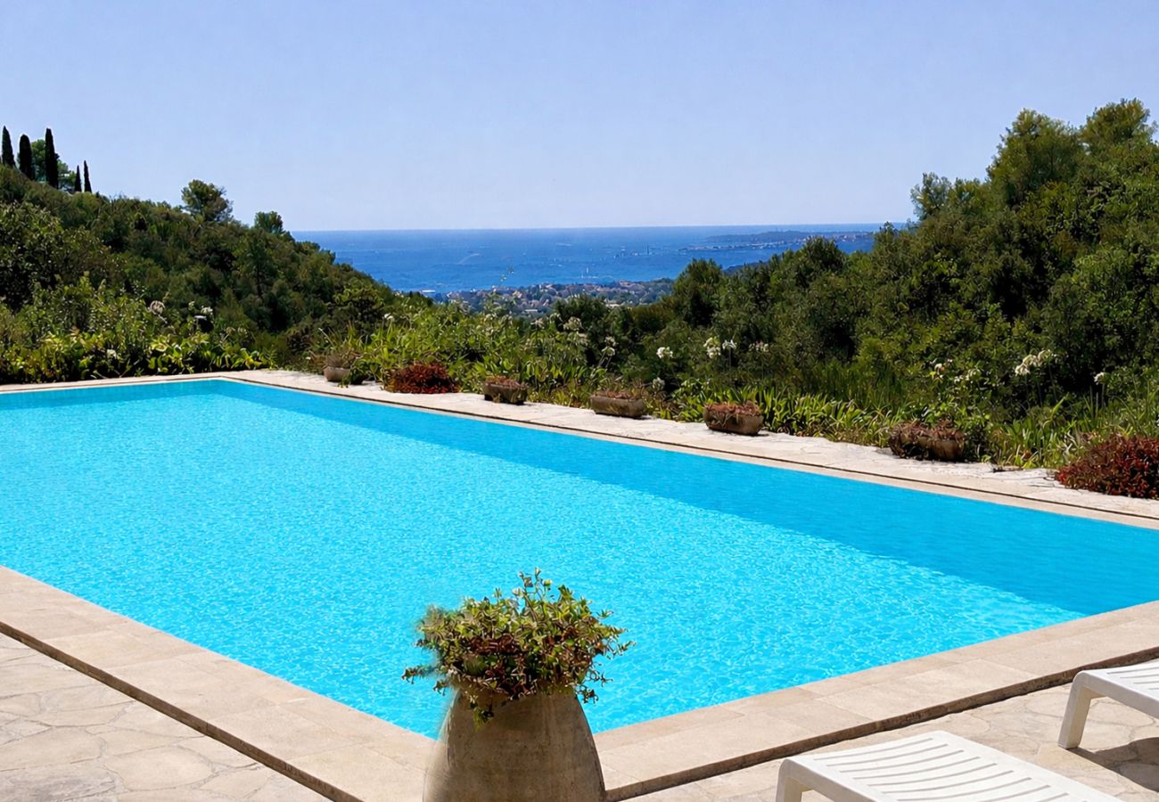Le Secret de Saint-Paul-de-Vence 